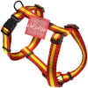 Nylon Bull Dog Harnesses UK