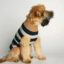 Alternative view of Jersey The Painter's Wife Anni Azul y Beige
