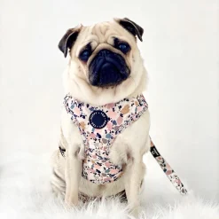Alternative view of Poppy + Ted Party Pup Adjustable Harness
