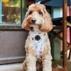 Alternative view of Poppy + Ted Pressed Petal Adjustable Harness