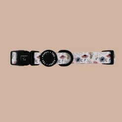 Pressed Petal Dog Collar