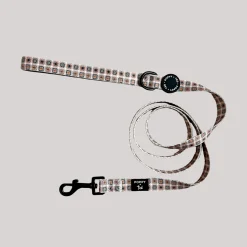Grandma's House dog leash
