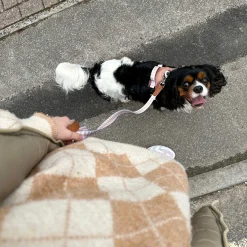 Alternative view of Poppy + Ted Tan Plaid Strap