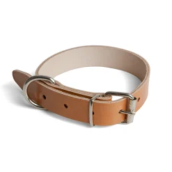 Cowhide collar for dogs