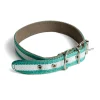 Andalusian flag leather dog collar