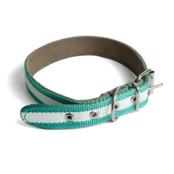 Andalusian flag leather dog collar