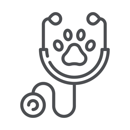 veterinario online