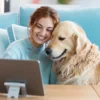 Revisión de menú para perro online