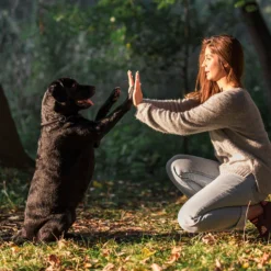 Ethology follow-up consultation