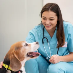 Test de leishmania para perros en Madrid