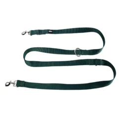 3-position green nylon dog leash