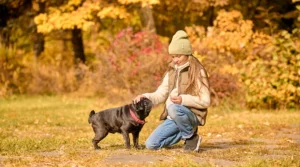 cuidado perros otoño