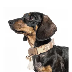 Alternative view of Collar ajustable Milk & Pepper Oroko beige