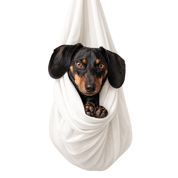 UpDog Cuidado Integral Canino Home