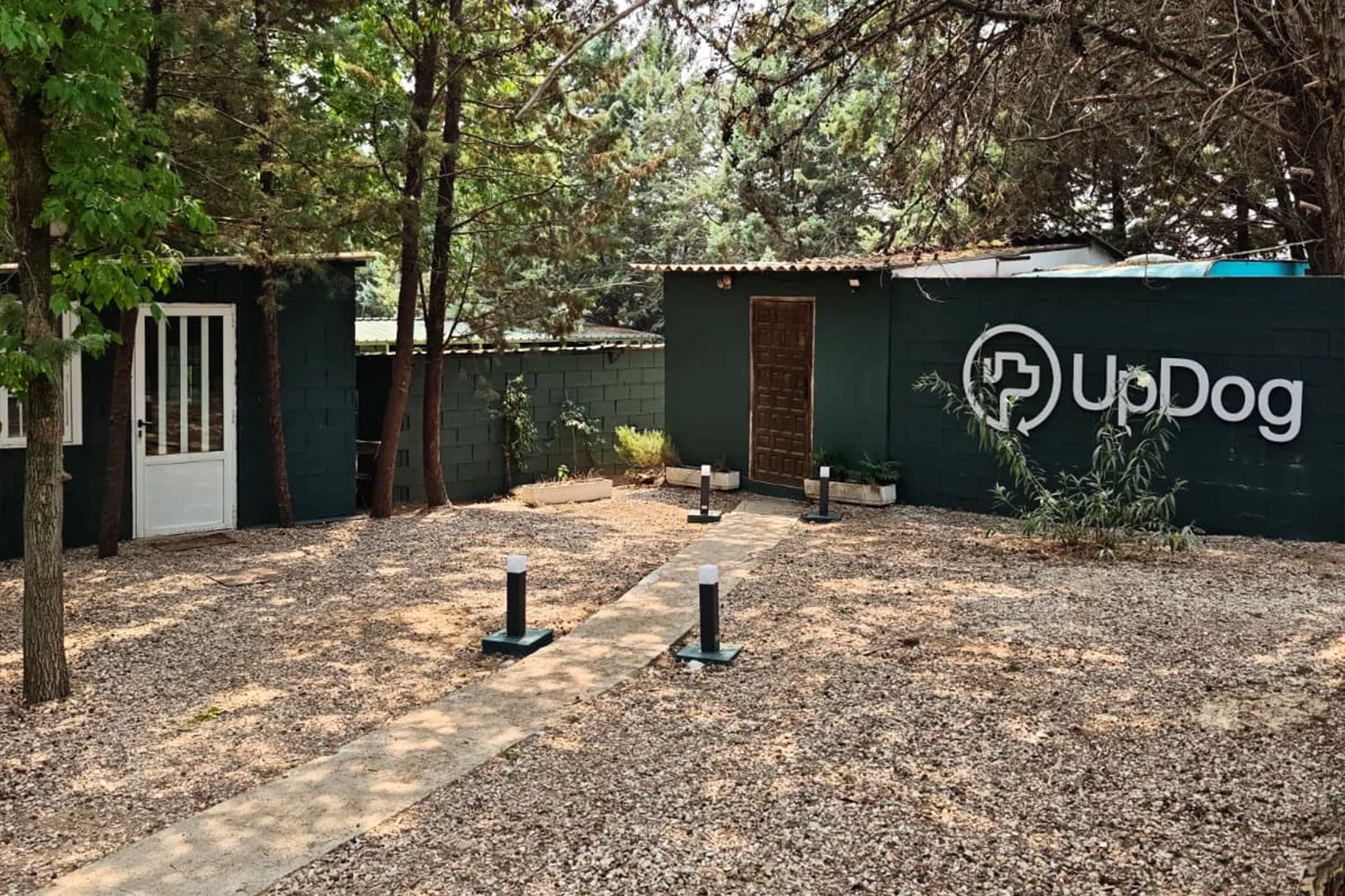 almacan updog residencia canina en madrid para perros