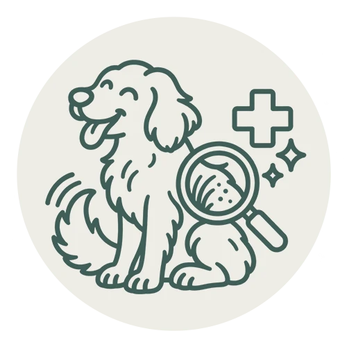 dermatologia canina updog servicio
