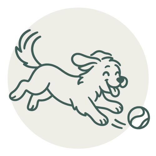 guarderia canina updog servicio