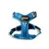 Arnés Ligero Y Wango azul Glow | UpDog