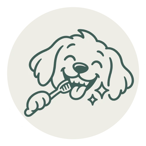 limpieza dental updog servicio