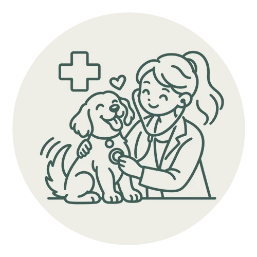 veterinario updog servicio