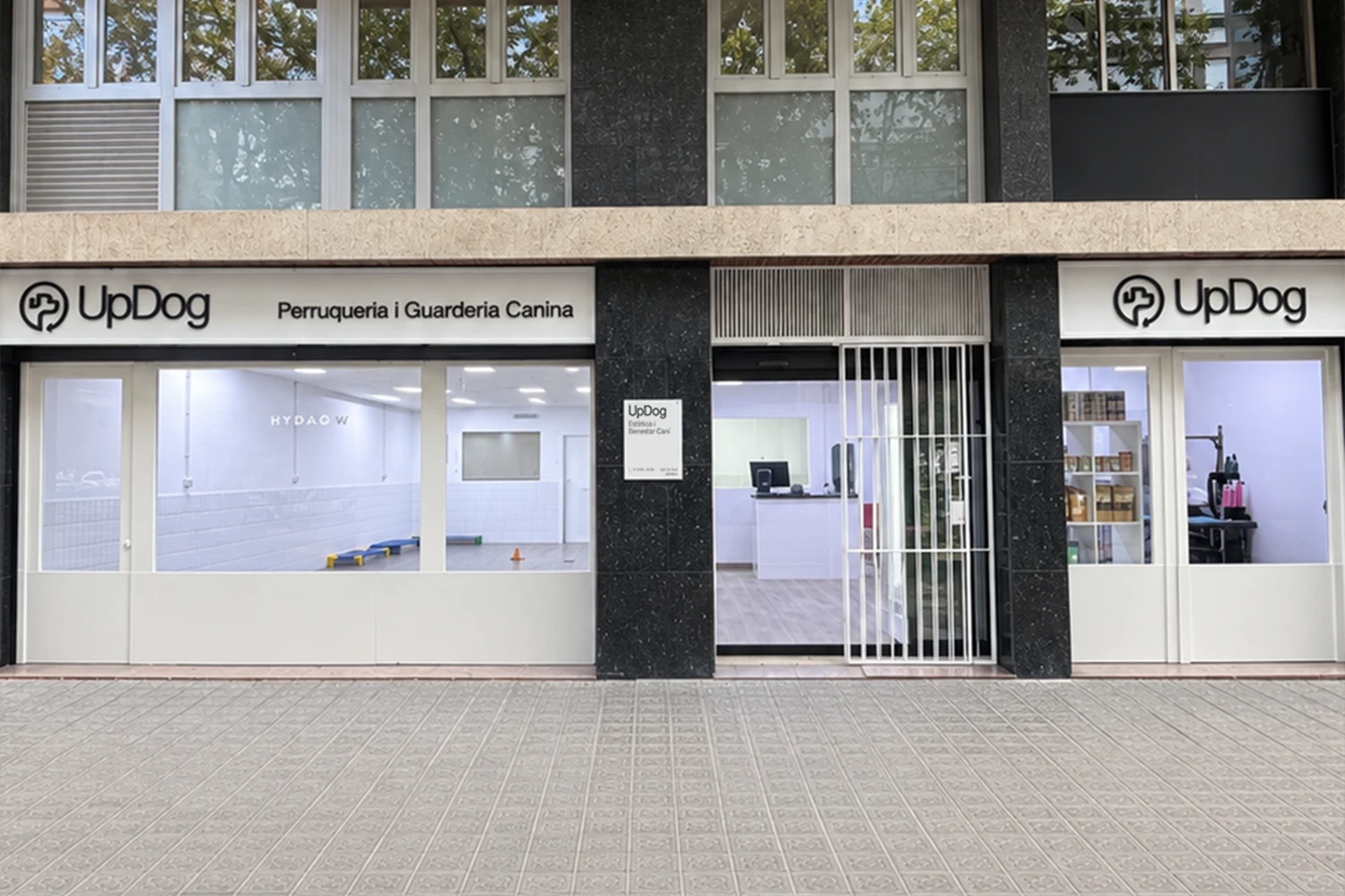 UpDog Frances Macia Guarderia y peluqueria canina en barcelona