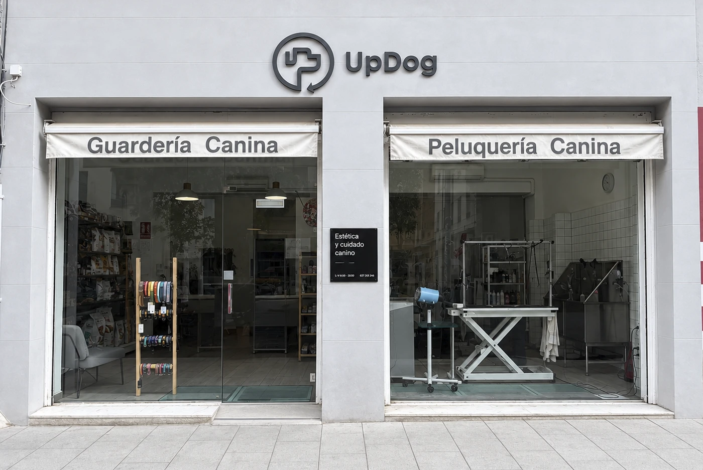 UpDog Goya Guarderia y Peluqueria Canina copy
