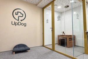UpDog peluqueria canina ECI Castellana