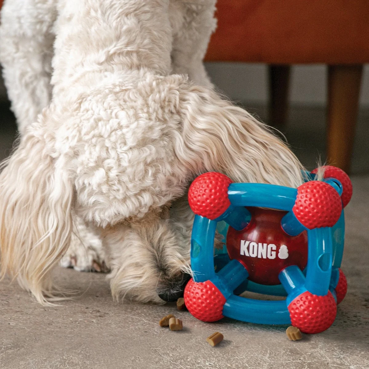 Juguete para perro Kong Tinker Rewards - Imagen 2